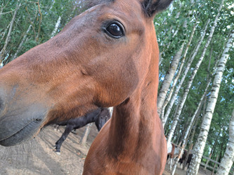 Similar image 21690408