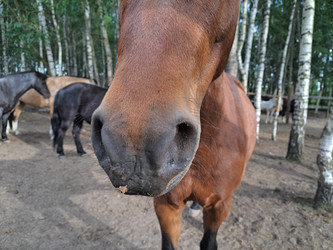 Similar image 21690409