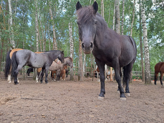 Similar image 21690410