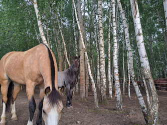 Similar image 21690411