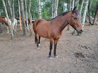 Similar image 21690412