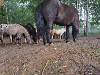 Similar image 21690413