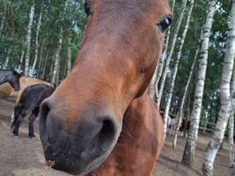 Similar image 21690414