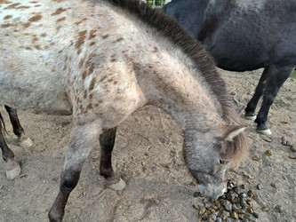 Similar image 21690415