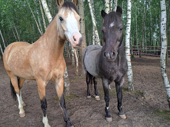 Similar image 21690416