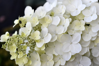 Similar image 21690119