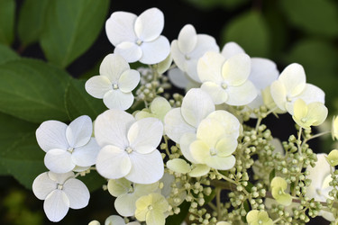 Similar image 21690122