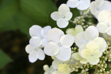 Similar image 21690124