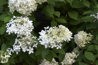 Similar image 21690128