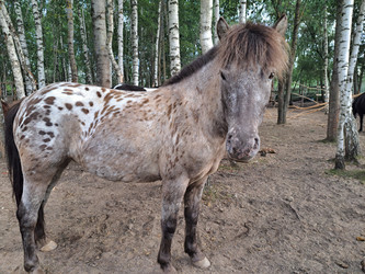 Similar image 21690417