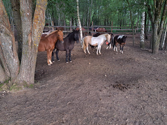 Similar image 21690418