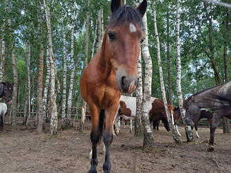 Similar image 21690419