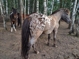 Similar image 21690420