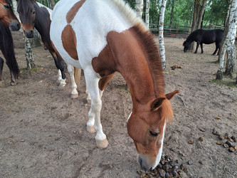 Similar image 21690421