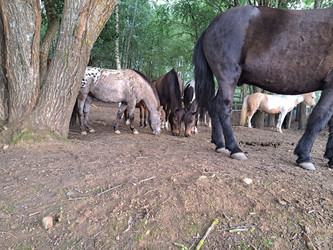 Similar image 21690422