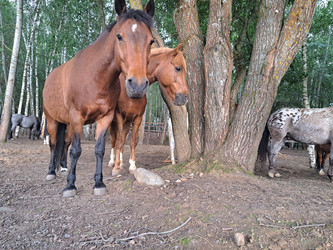 Similar image 21690423