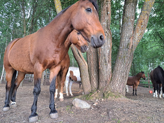 Similar image 21690424