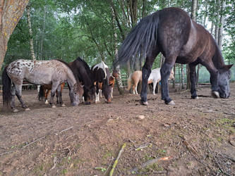 Similar image 21690425