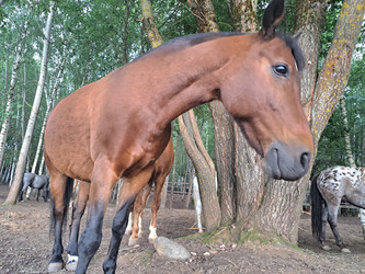 Similar image 21690427