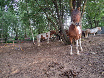 Similar image 21690428