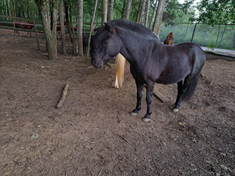 Similar image 21690429