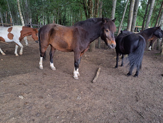 Similar image 21690430