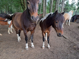 Similar image 21690431