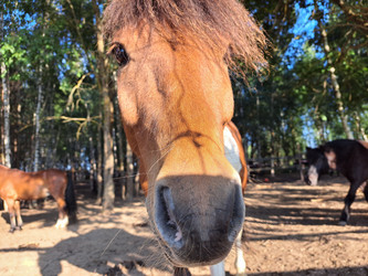 Similar image 21693910