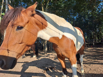 Similar image 21693911