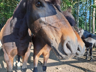 Similar image 21693912