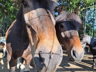 Similar image 21693913