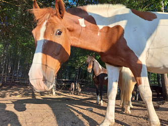 Similar image 21693915