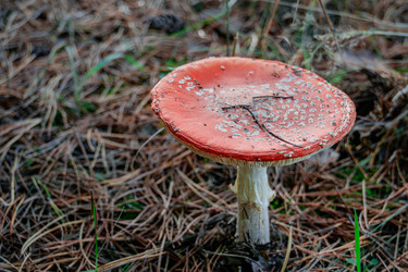 Similar image 21690433