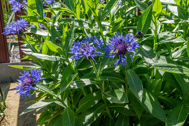 Similar image 21690435