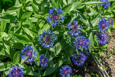 Similar image 21690436