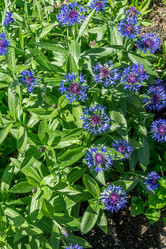 Similar image 21690437