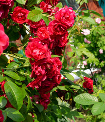 Similar image 21690439