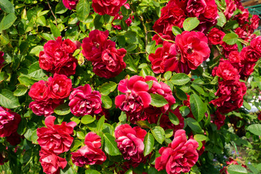 Similar image 21690440