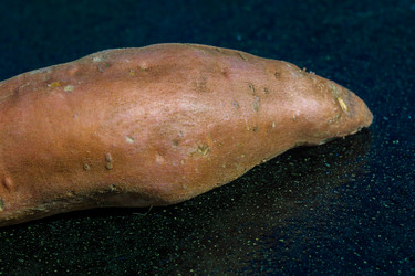 Similar image 21690441