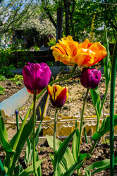 Similar image 21690250