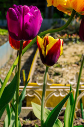 Similar image 21690251