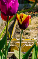 Similar image 21690252