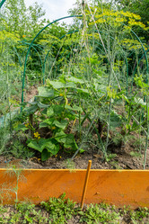 Similar image 21690253