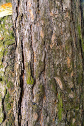 Similar image 21690261