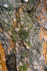 Similar image 21690262