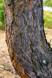 Similar image 21690263