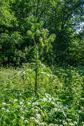 Similar image 21690265