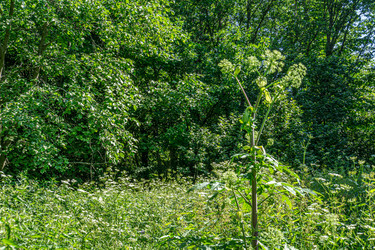 Similar image 21690266