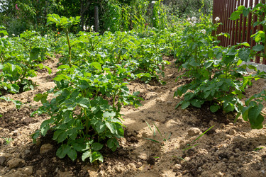 Similar image 21690443