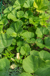 Similar image 21690445